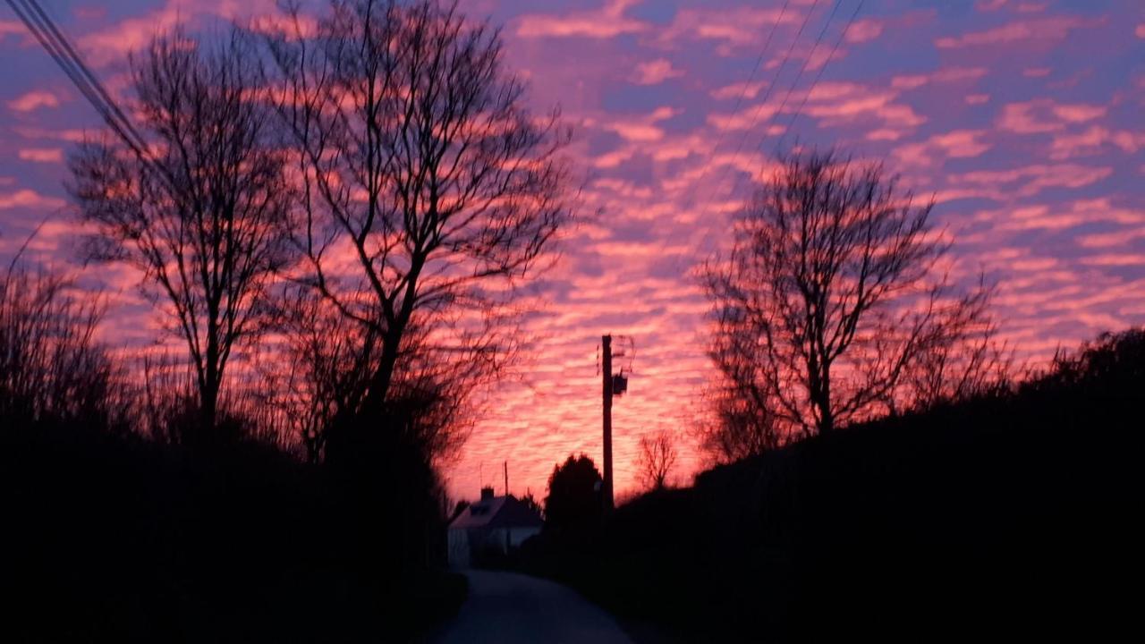 Les Chants Du Crepuscule Marchesieux