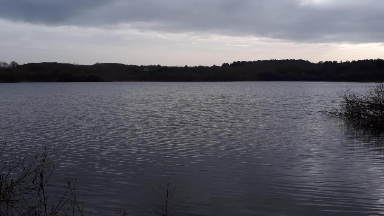 Les Chants Du Crepuscule Marchesieux