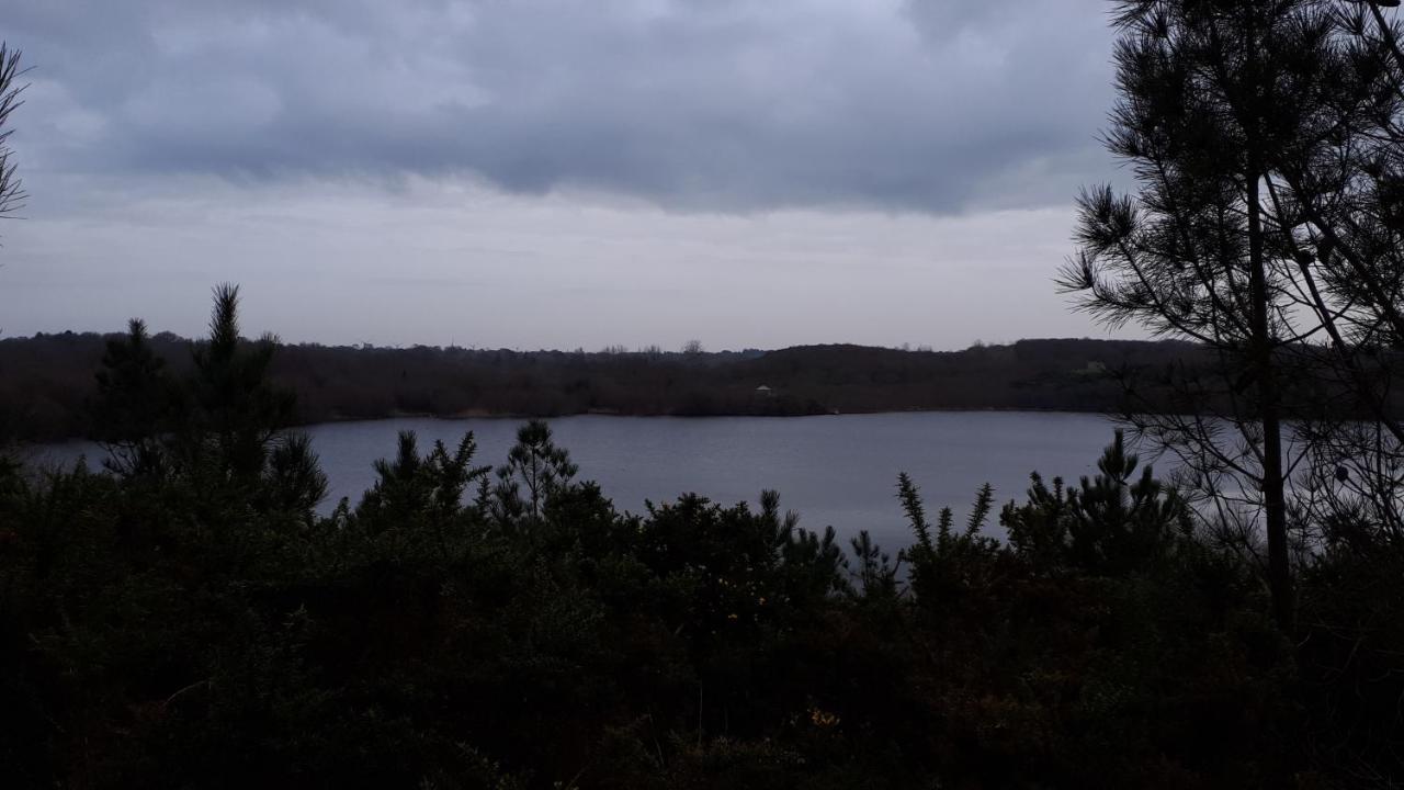 Les Chants Du Crepuscule *